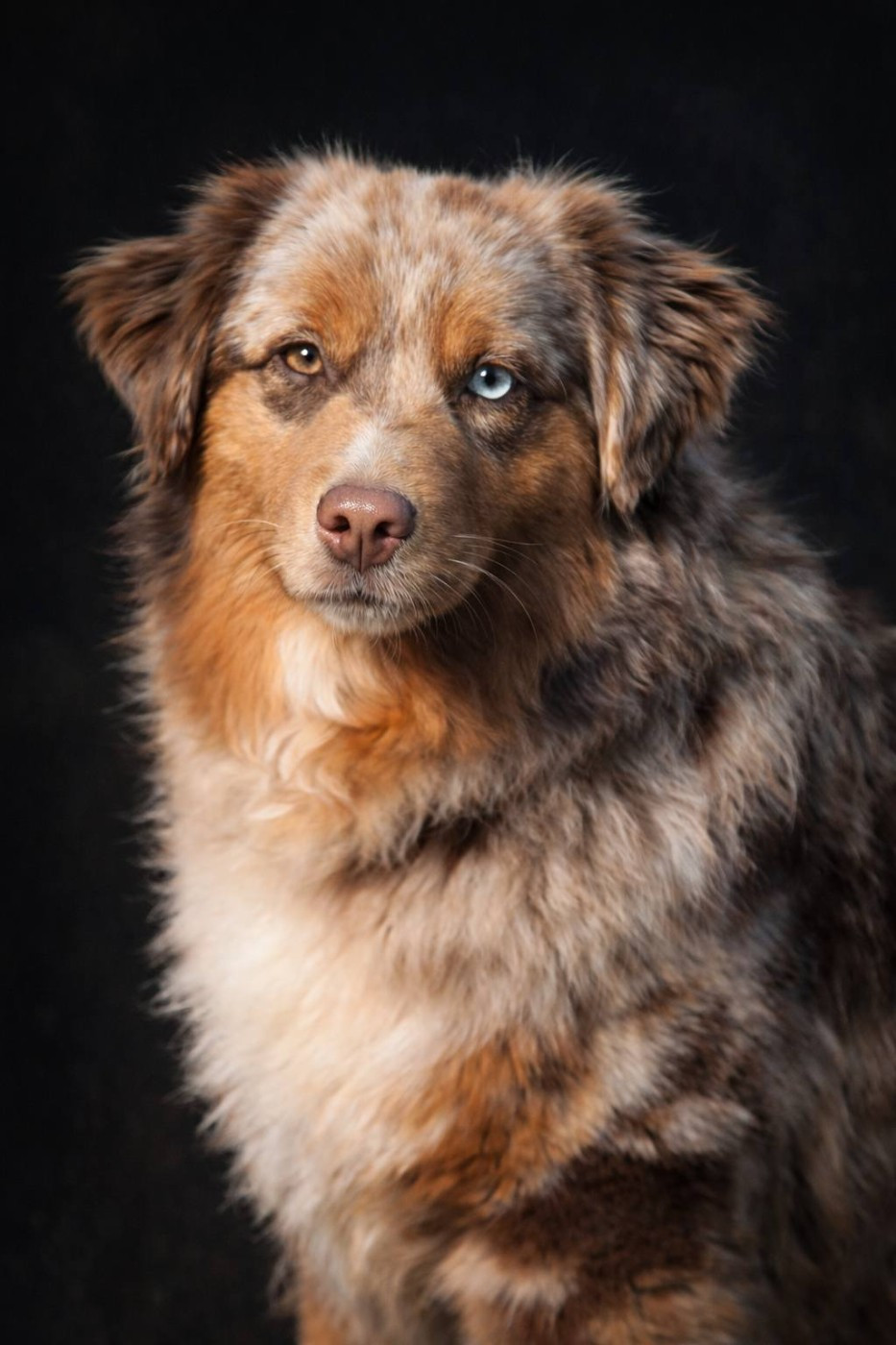 Another dream verone mini de La Lune De Feu