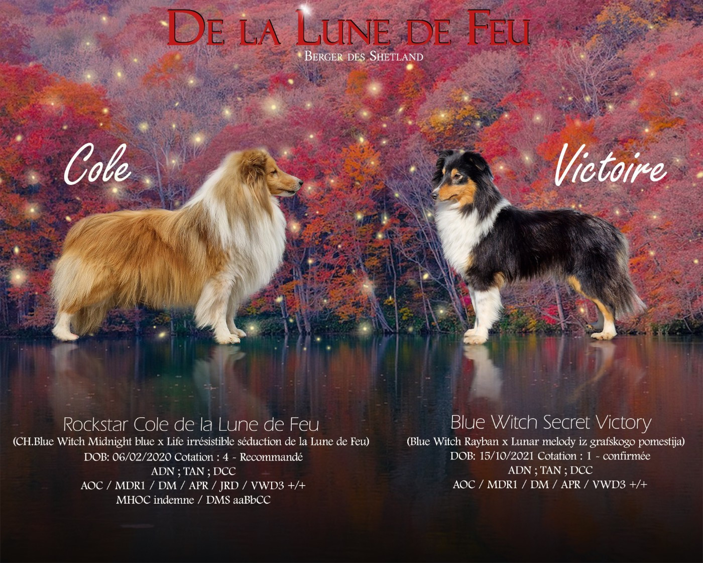 Des Bébés pour cet hiver