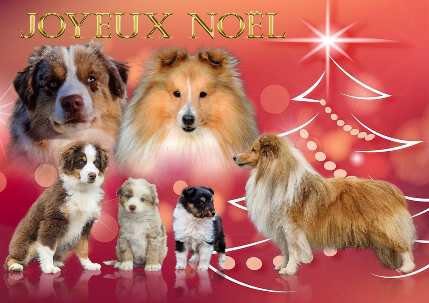 Joyeux Noël
