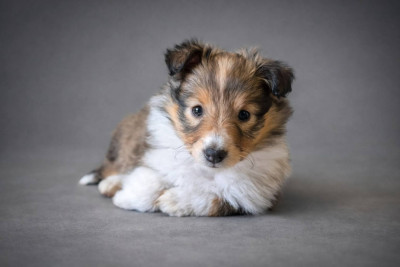 Aguamenti Ginny dite Margot