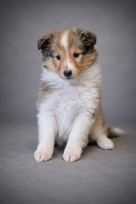 Arania Exumai Luna dite Gaïa